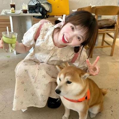 23号灯塔第二季